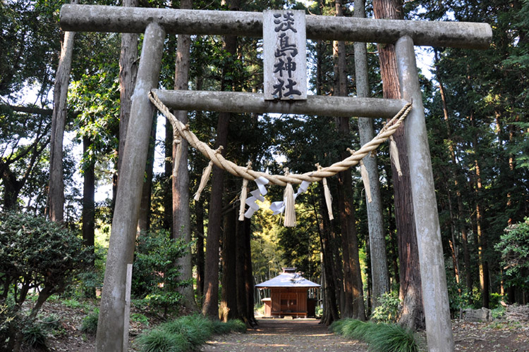 額田淡島神社の鳥居・参道・拝殿